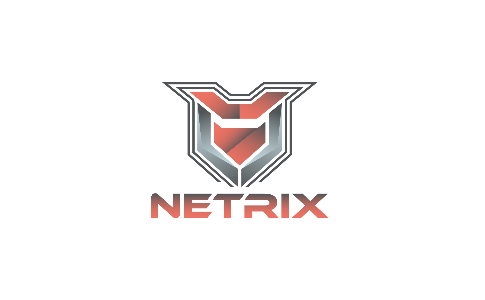 projekt logo NETRIX-06