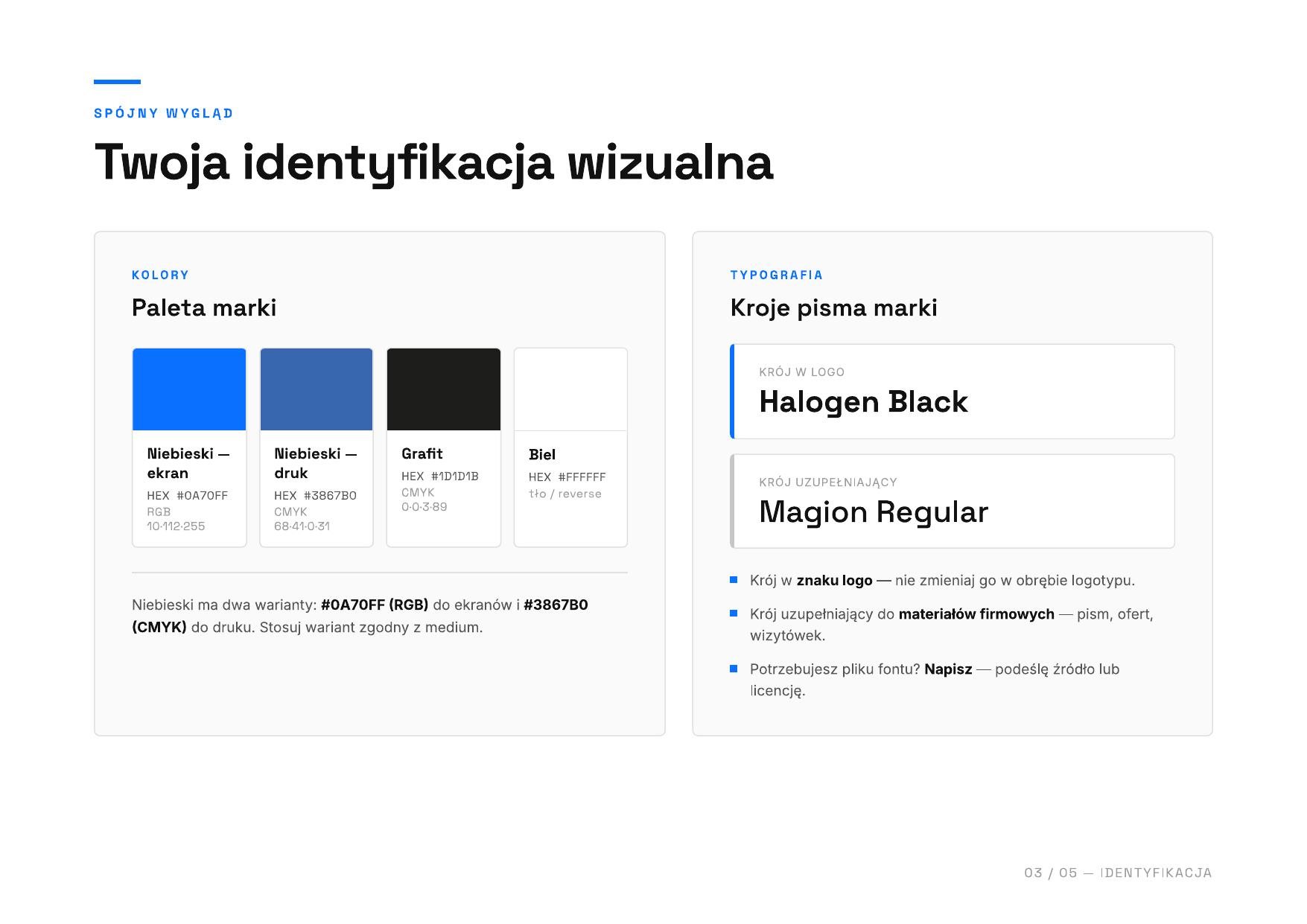 Mini księga znaku BALTIC HV — paleta kolorów i typografia