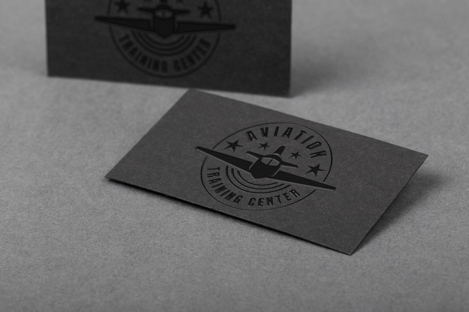 Gotowe logo PILOT/01 dla szkoły lotniczej z kolekcji Skubi Art — przykład mockupu