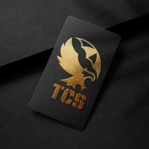 Logo z orłem FALCON/01 – prezentacja koncepcji
