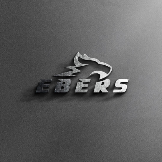 Przestrzenne logo EBERS w metalicznym wykończeniu na ścianie