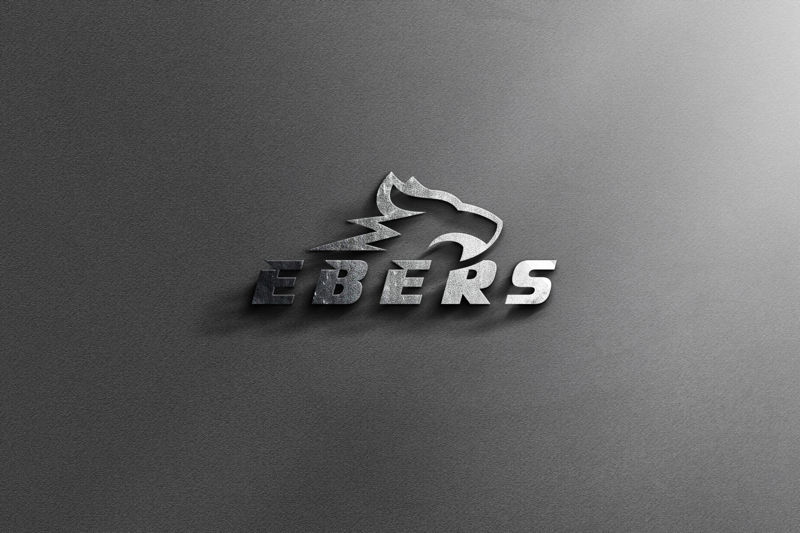 Przestrzenne logo EBERS w metalicznym wykończeniu na ścianie